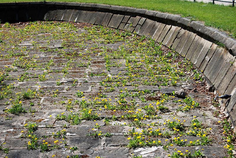 2009-04-22, Frühling (3).JPG